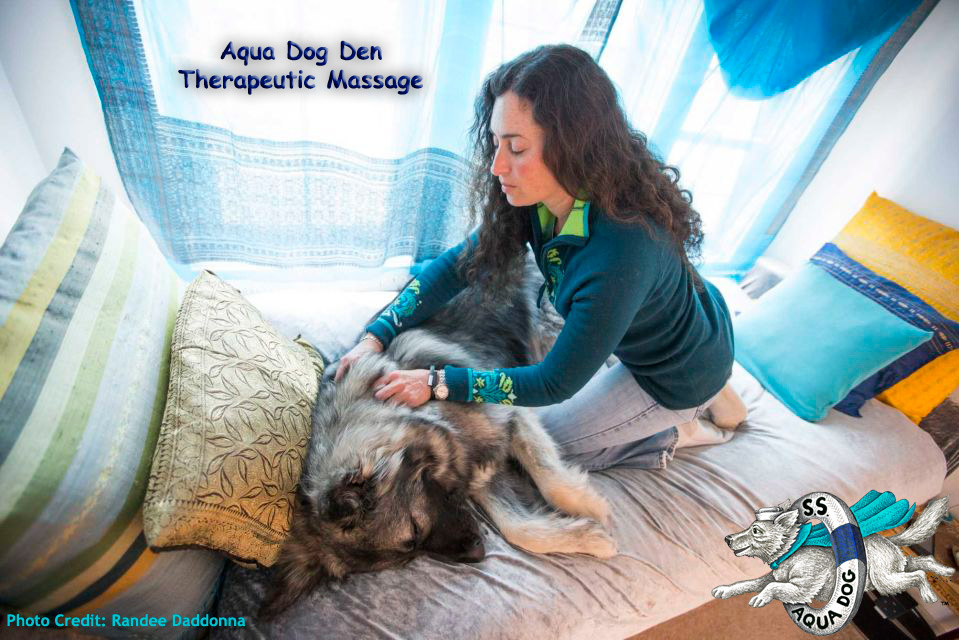Aqua Dog Den Therapeutic Massage