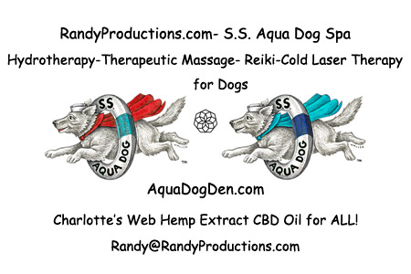 RandyProductions.com-S.S.Aqua Dog-AquaDogDen-Charlotte's Web CBD oil